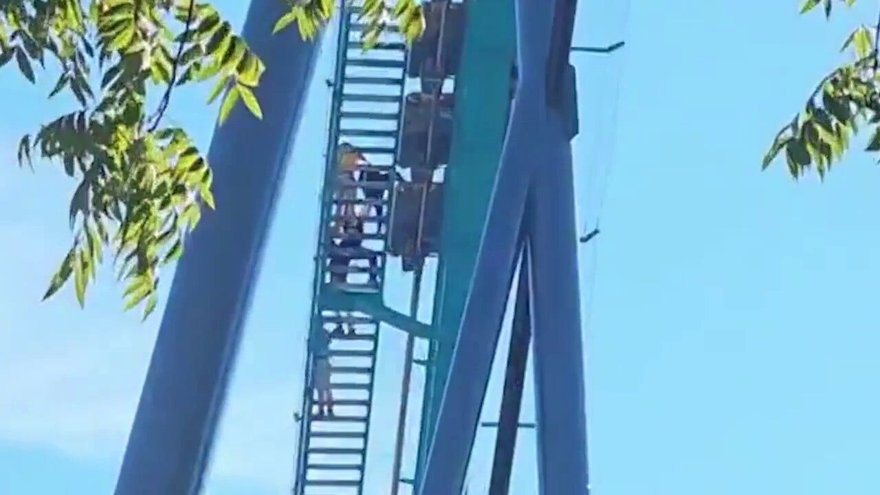 Man's fatal fall from Six Flags roller coaster sparks horrifying ...