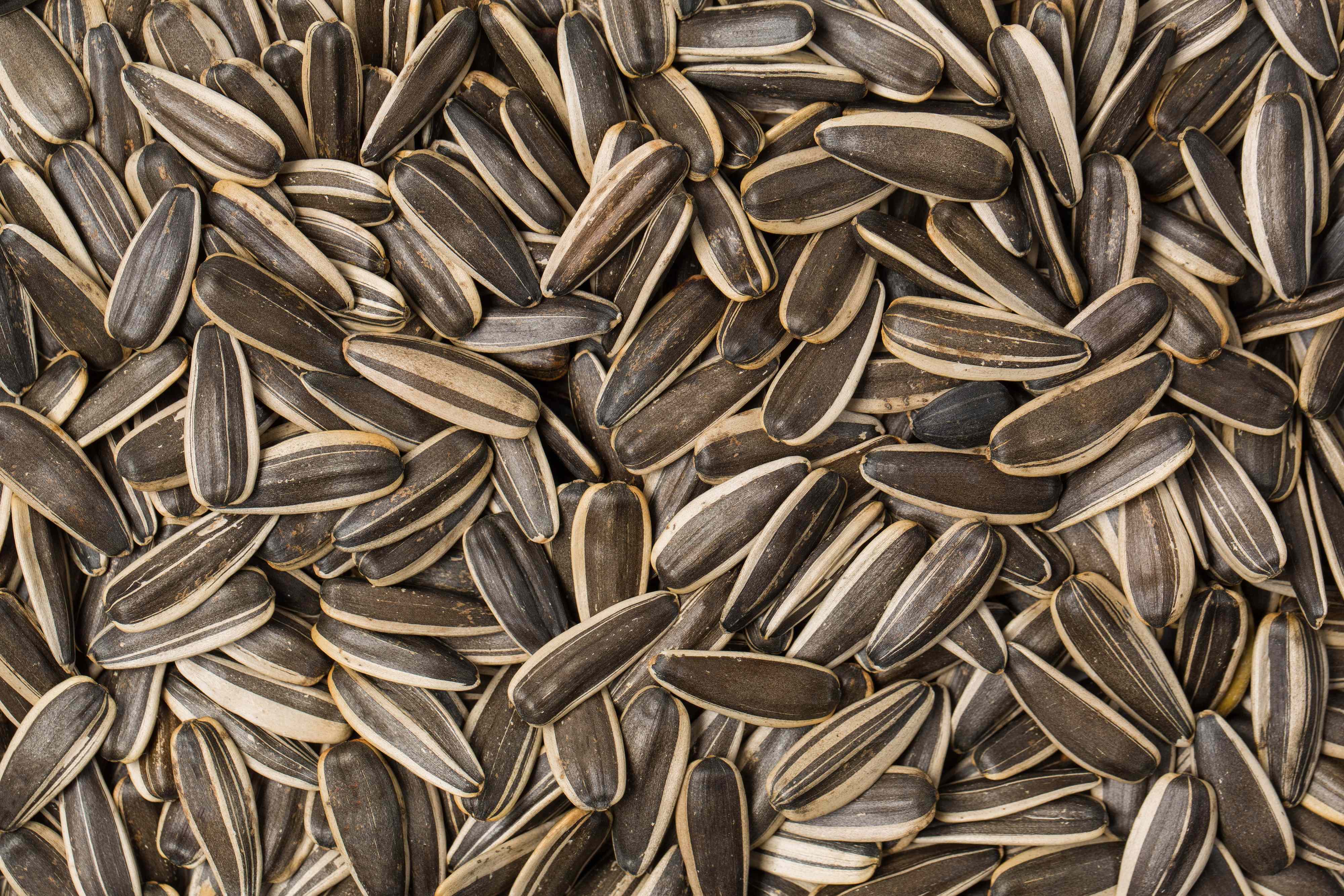 4 foods with more vitamin E than almonds