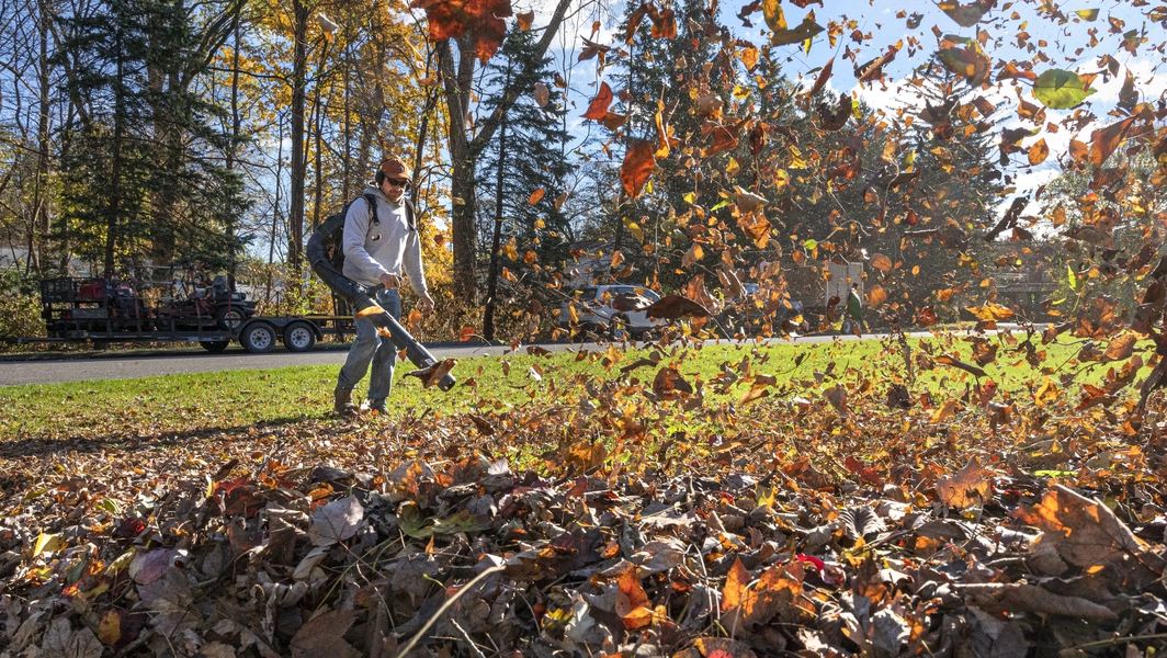 6 common fall landscaping myths explained