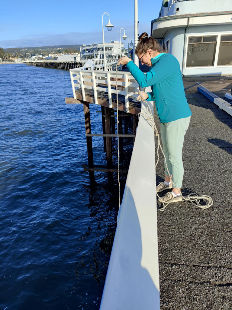 UC Santa Cruz study finds new method to predict domoic acid outbreaks