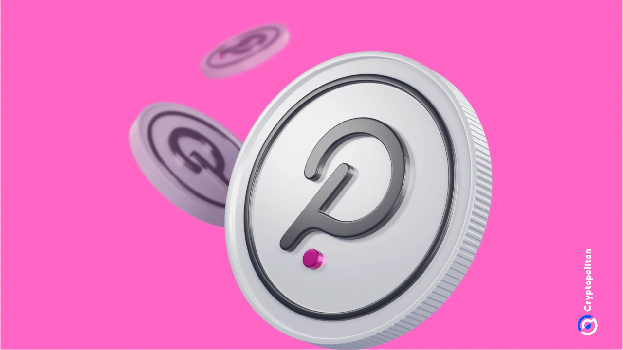 Polkadot proposes moving away from paid marketing toward on-chain user ...