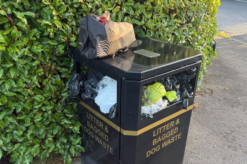 Public dumping excess rubbish in communal council bins blamed for trash ...