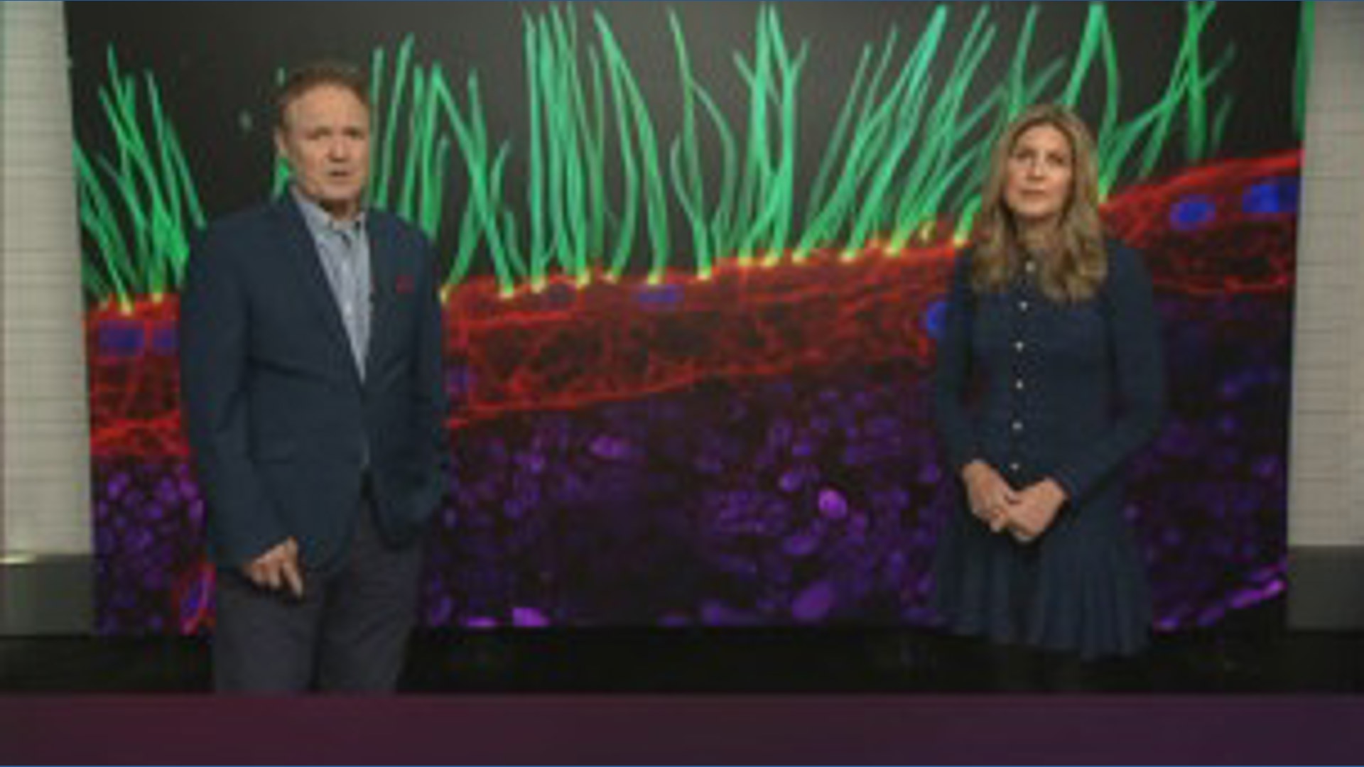 Nikon disqualifies microscopy contest winner over generative AI use