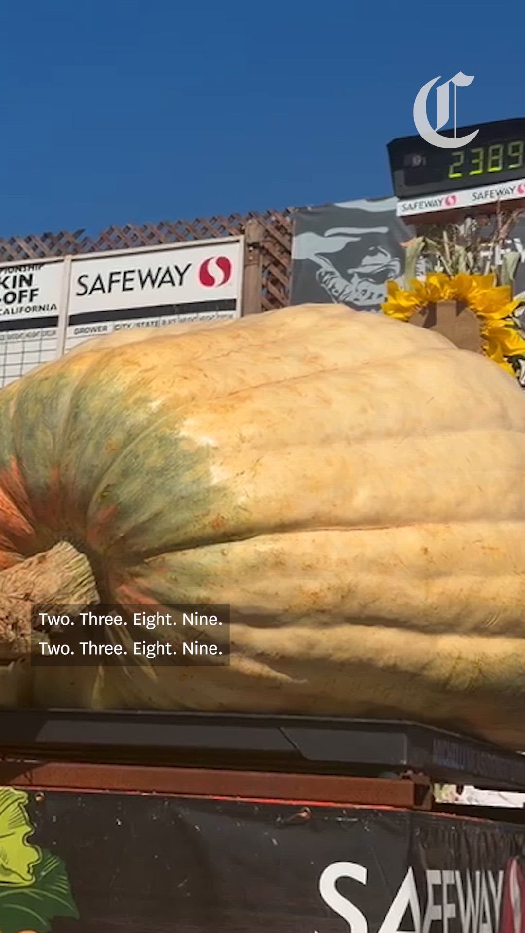 A 2,389-pound pumpkin wins big at Half Moon Bay weigh-off