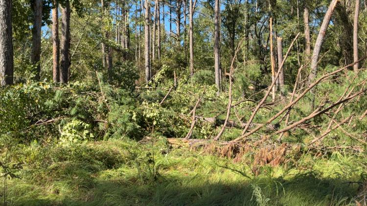 EF2 tornado with 115 mph winds confirmed in Newberry County