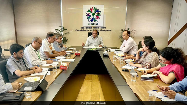 Clear garbage from Delhi roads by October 31: Pollution watchdog to ...