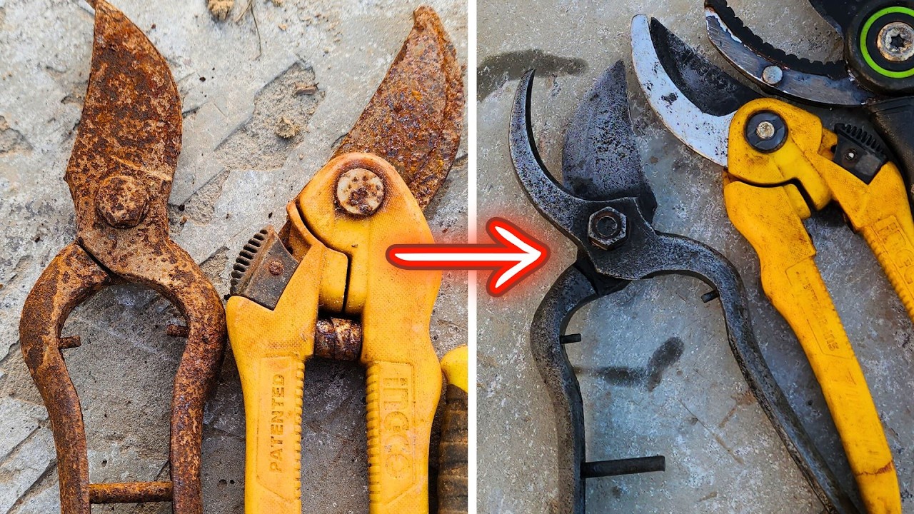 How to remove rust from garden tools with a simple method