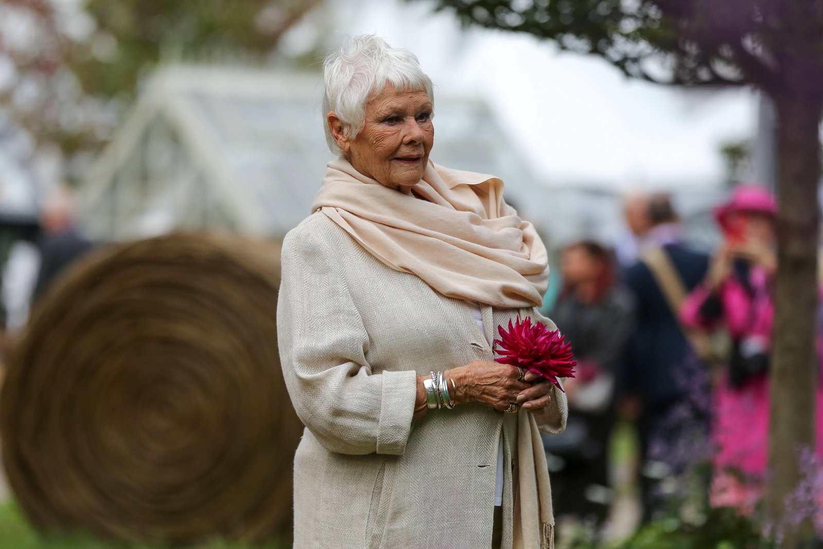 Gone too far, – Judi Dench calls out trigger warning in theater and films