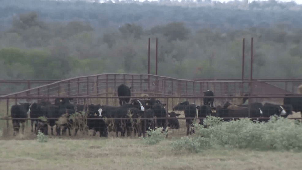 Bastrop County residents urge transparency on proposed data center, gas ...
