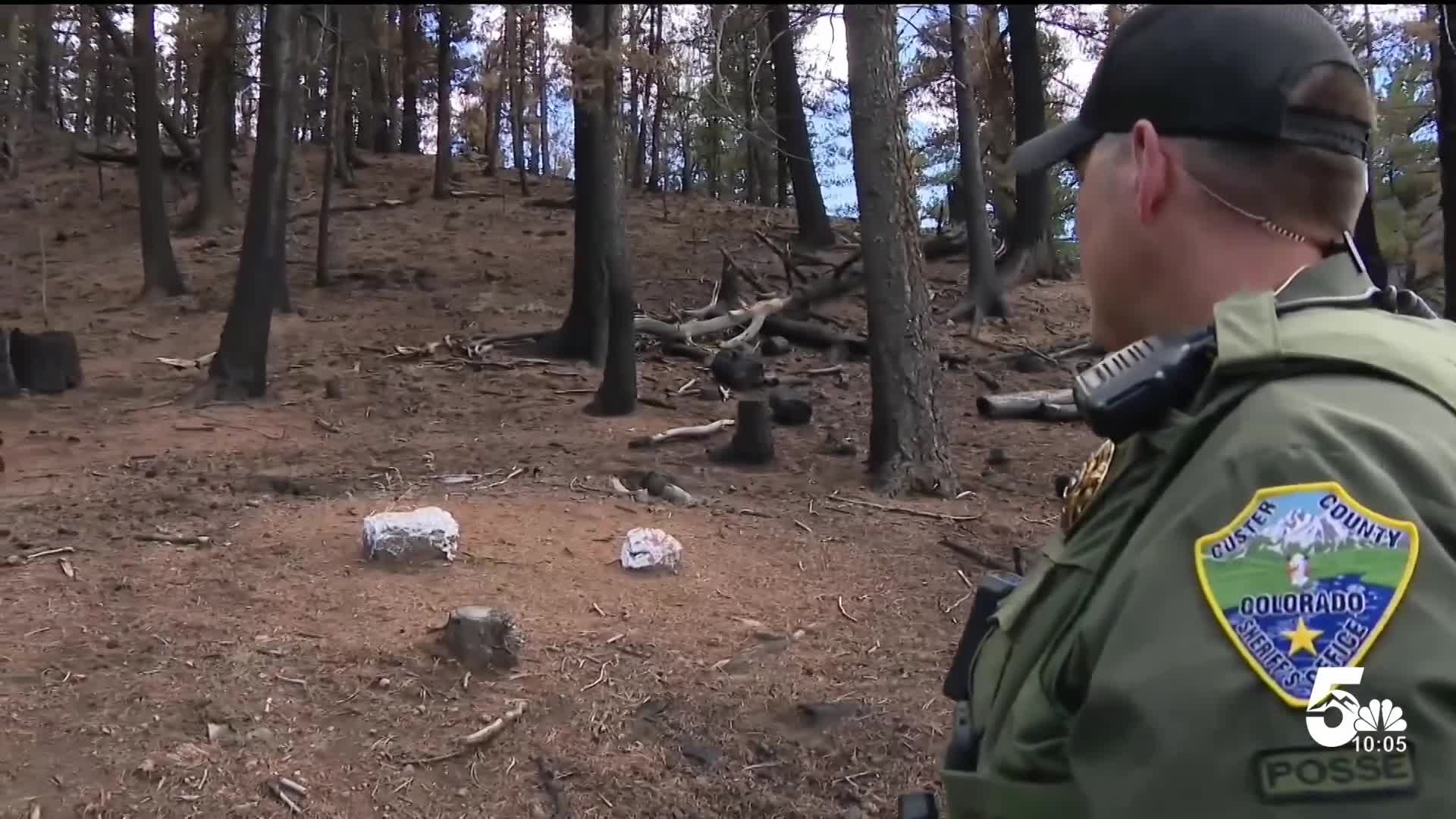 Colorado report finds Aspen Acres fire was sparked by tree falling onto ...