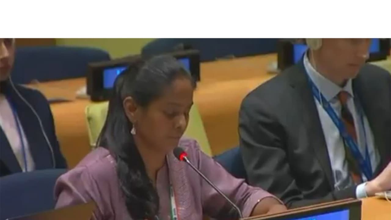 UN: India calls for terror acts to be part of crimes against humanity