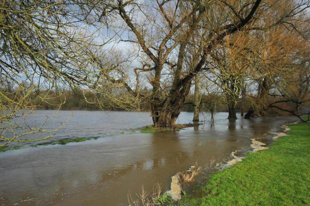 Environment Agency unveils plans to strengthen Swindon flood defences