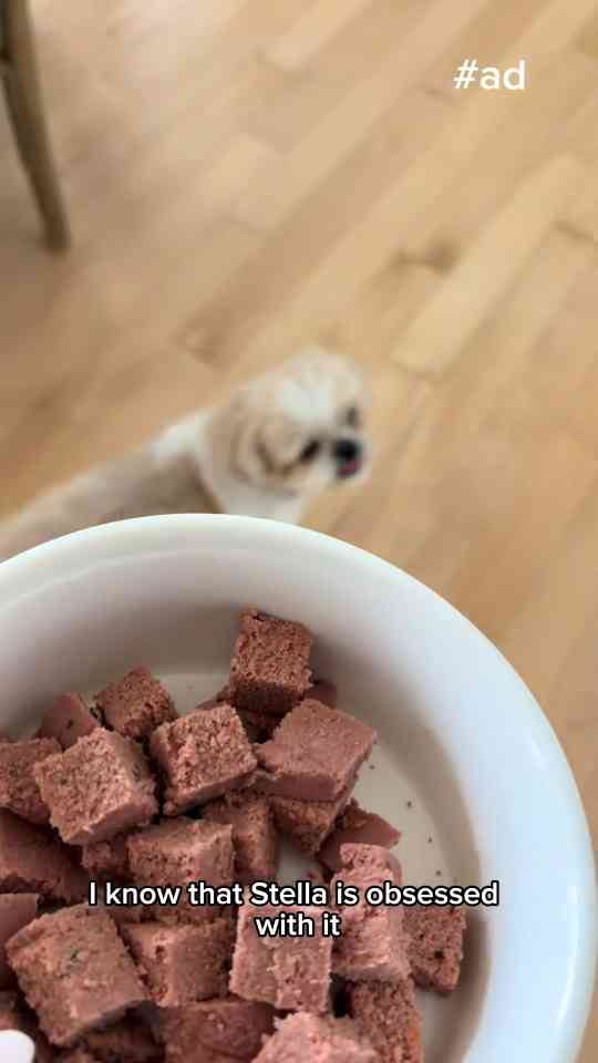 Simple dog food choices that can make a big difference