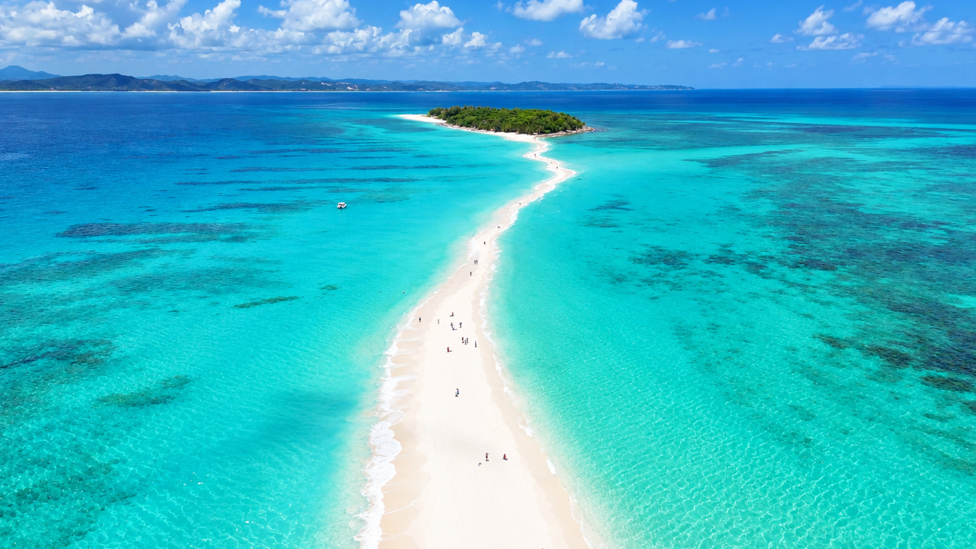 La route de sable temporaire menant à une île tropicale