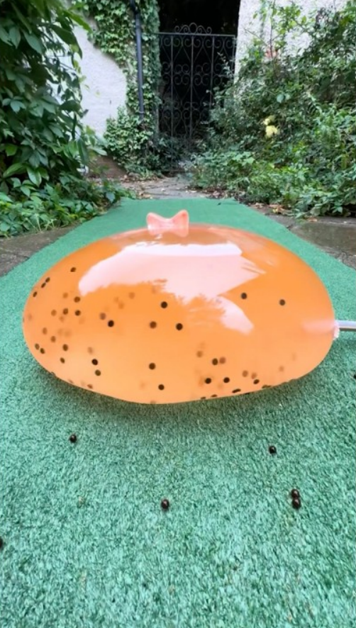 Fish flooded my garden and things got out of control