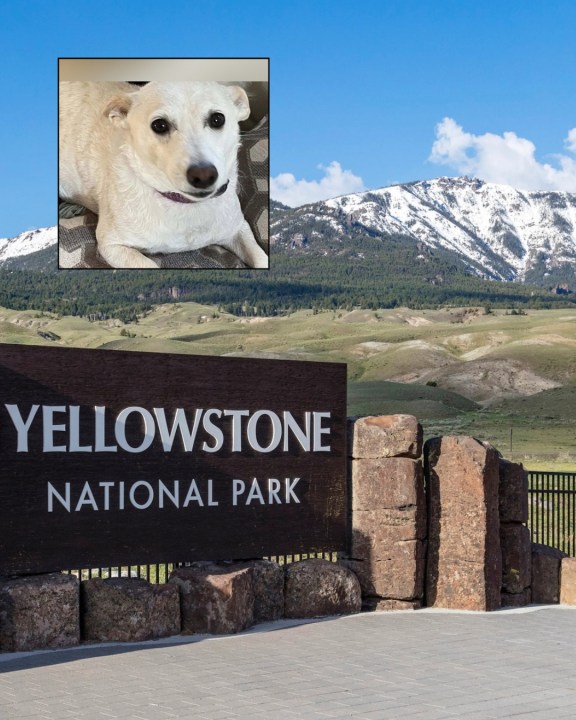 Time running out for California family's terrier lost in Yellowstone