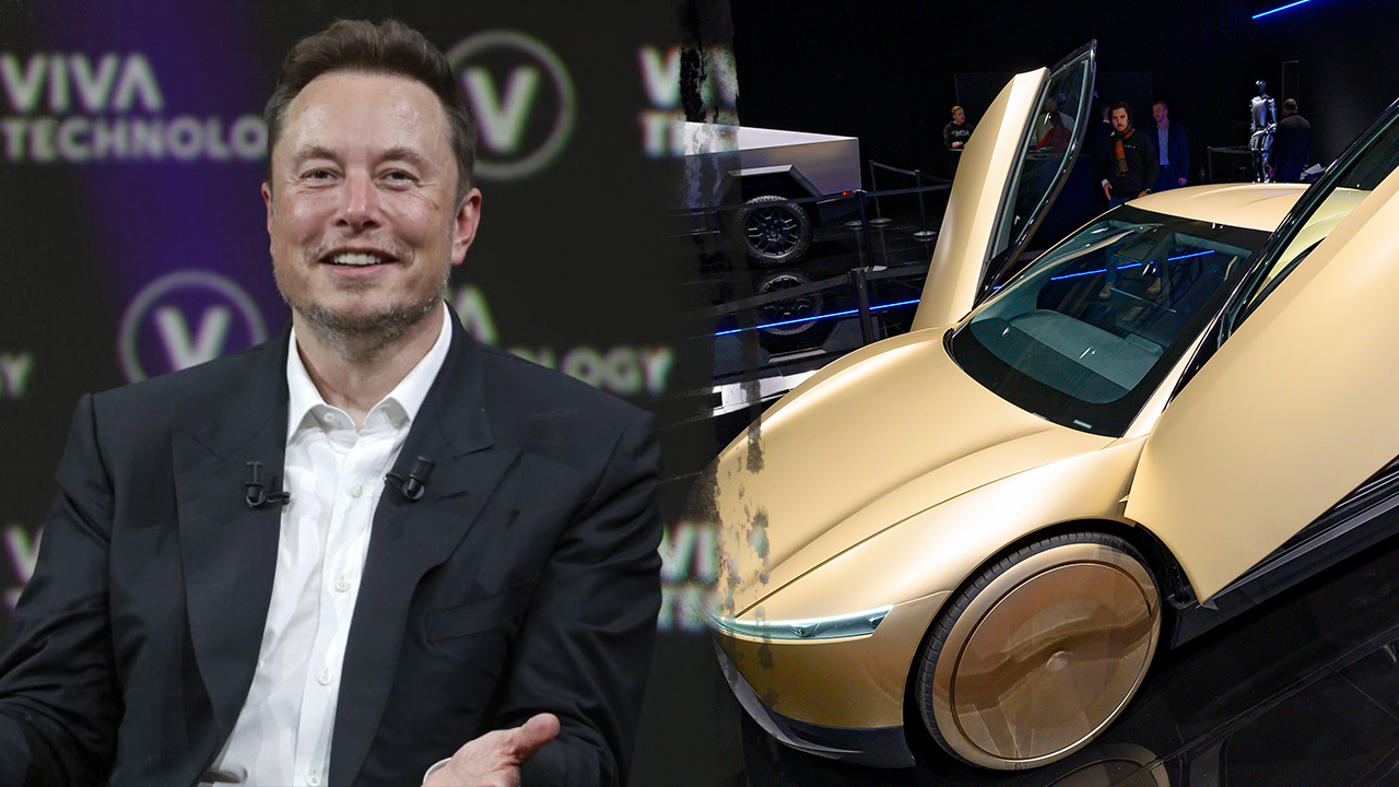 Elon Musk calls Waymo cars 'pet destroyers' as robotaxi rivals clash ...