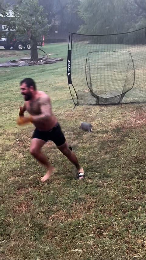 Armadillo chases man after he tries to rescue it