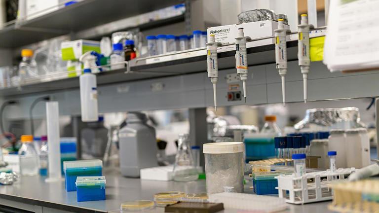 Detectives say DNA from genetic ancestry website solved 65-year-old ...