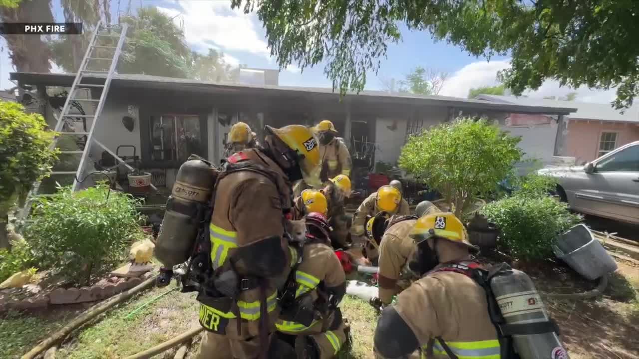 Phoenix firefighters rescue animals during weekend house fire