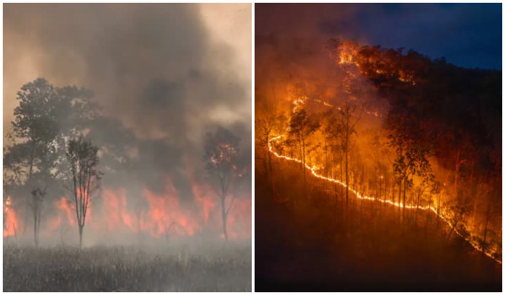Indonesia is not declaring forest fires as national disaster for now