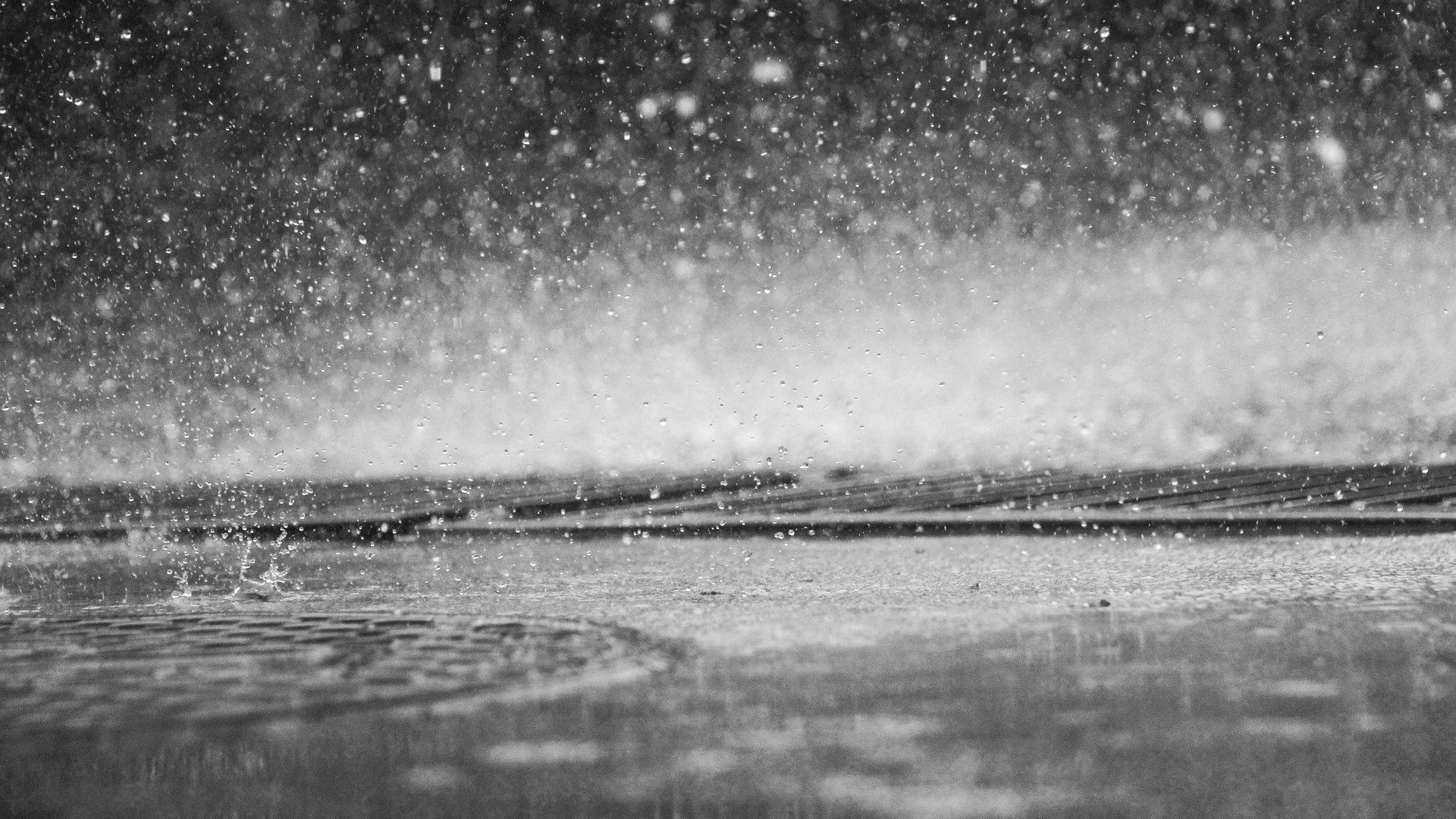 Overcast with drizzle, mist possible through midday Monday