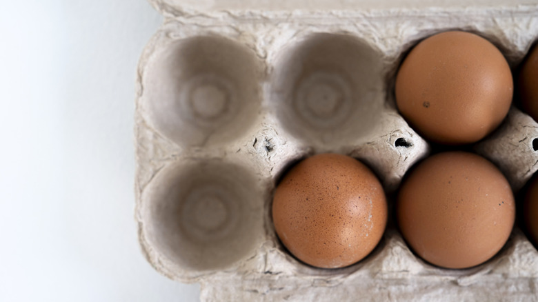 Use glue to transform an egg carton into the cutest DIY fox decor for ...