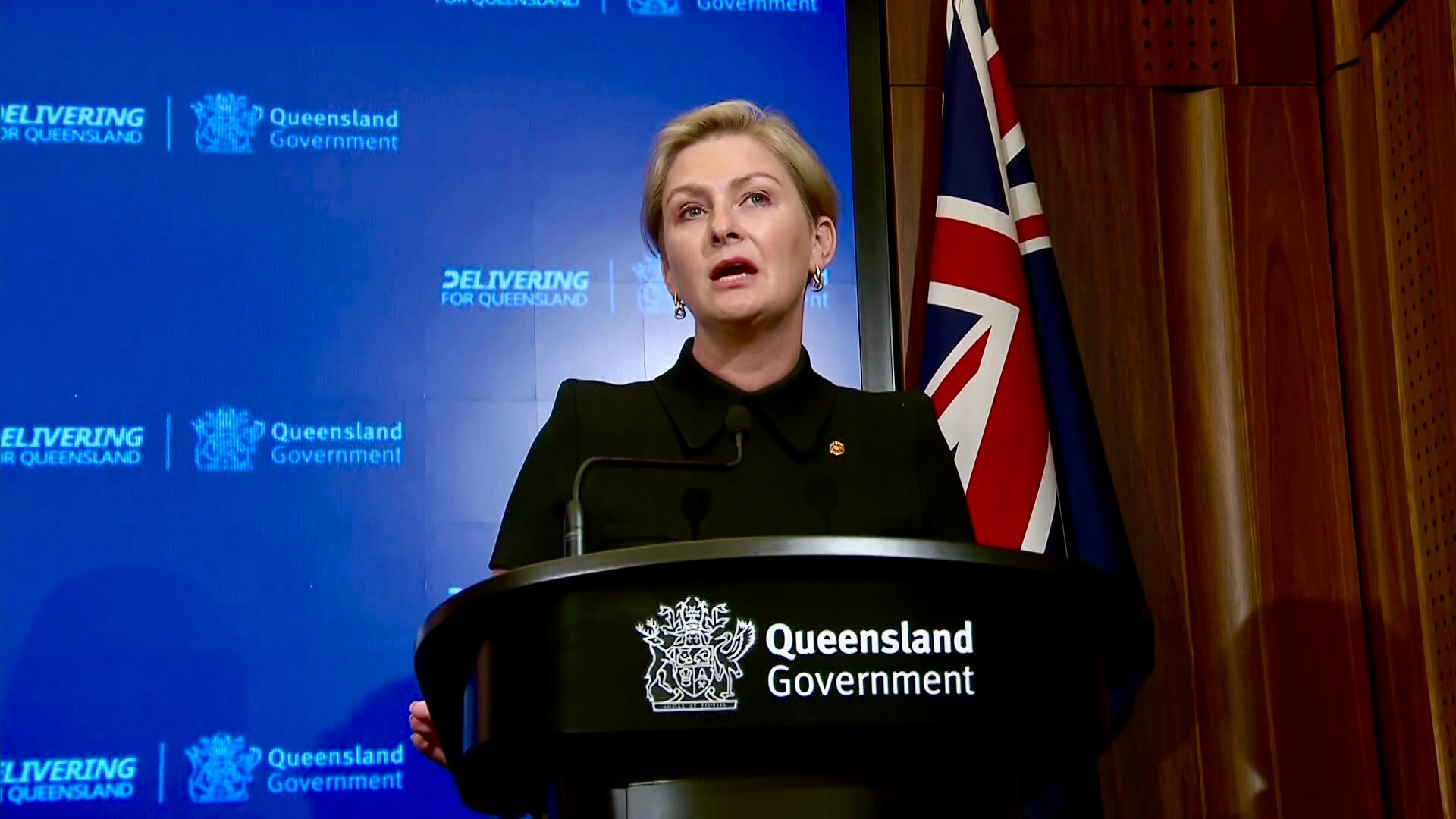 Queensland child safety and domestic violence minister Amanda Camm to ...
