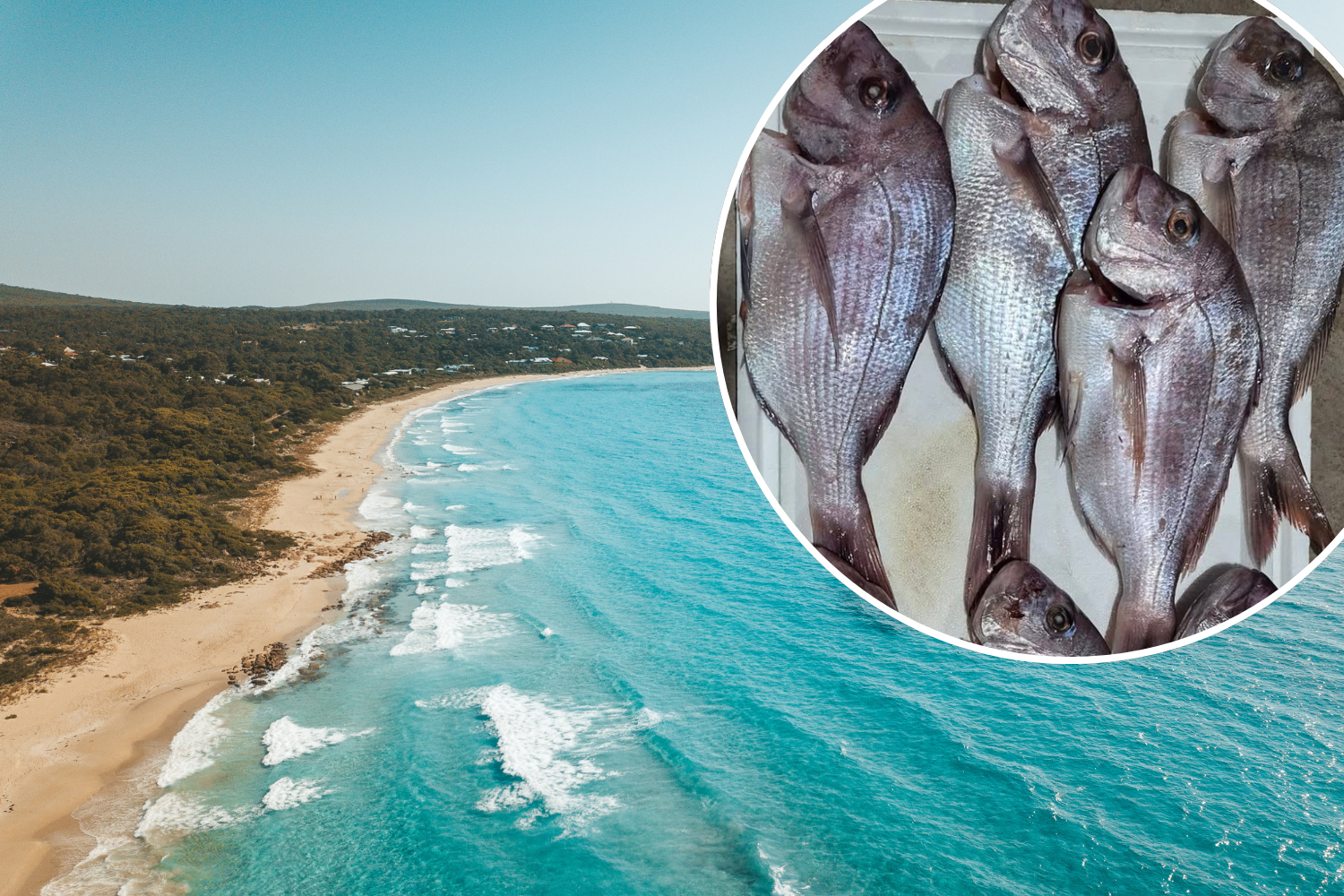 Boat seized and $7,600 fine issued after lads' fishing trip
