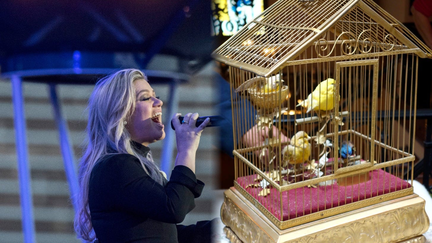 Kelly Clarkson's $15,000 singing bird fight with a Brooklyn shop
