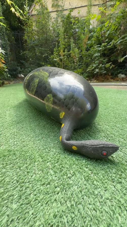 Watch the snake pop an unexpected burst you cannot miss