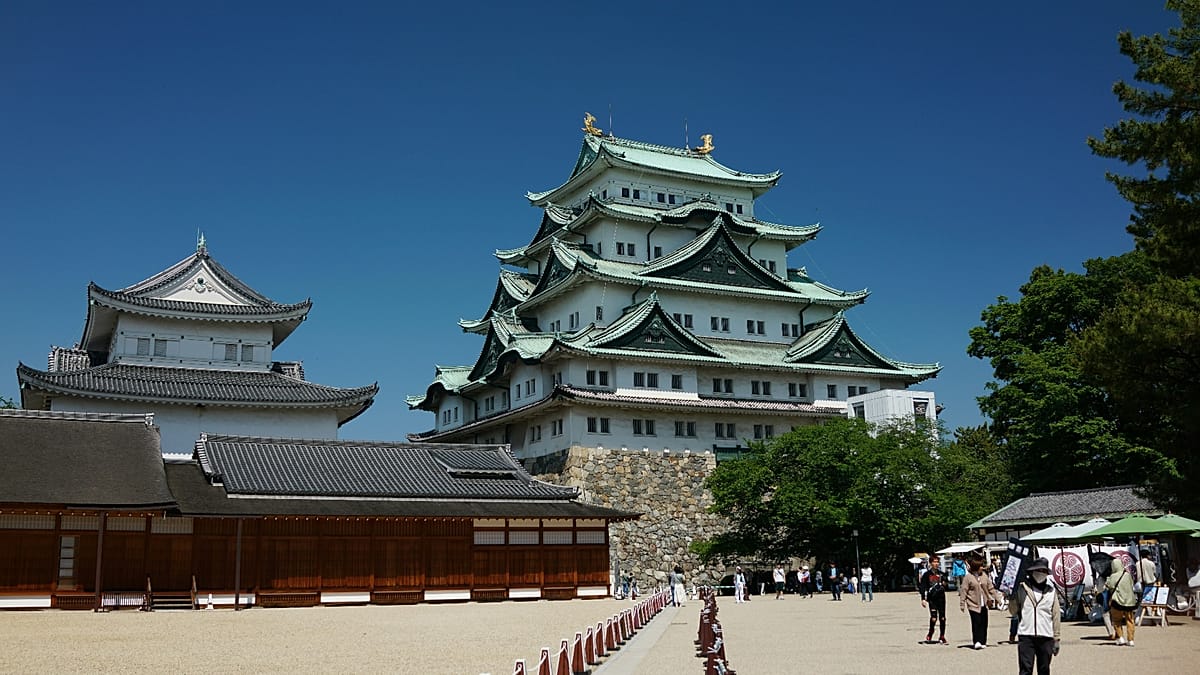 Lufthansa Group boosts Japan network with up to 50 flights per week ...
