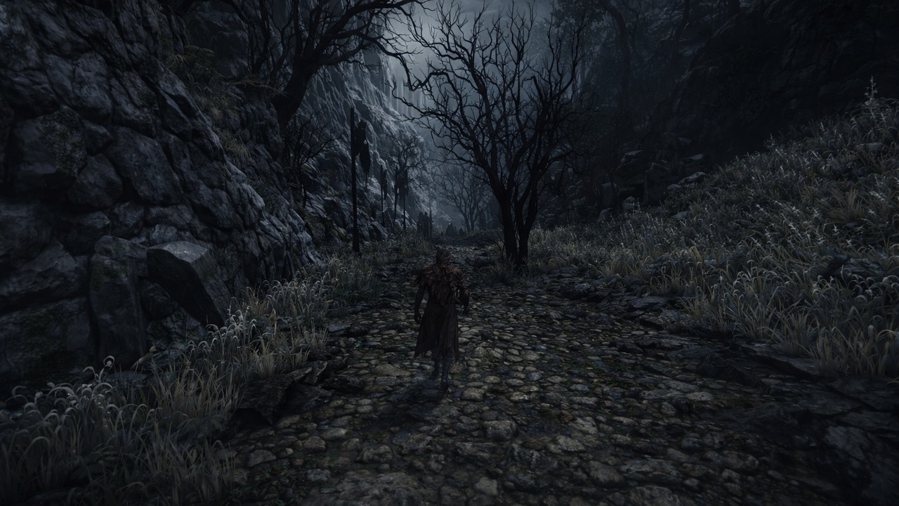 Sony never released Bloodborne on PC - fans just did it anyway