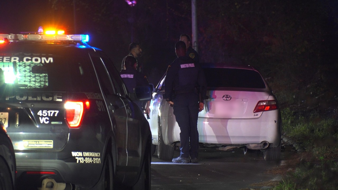 Investigation underway after man killed by pickup truck after fight ...