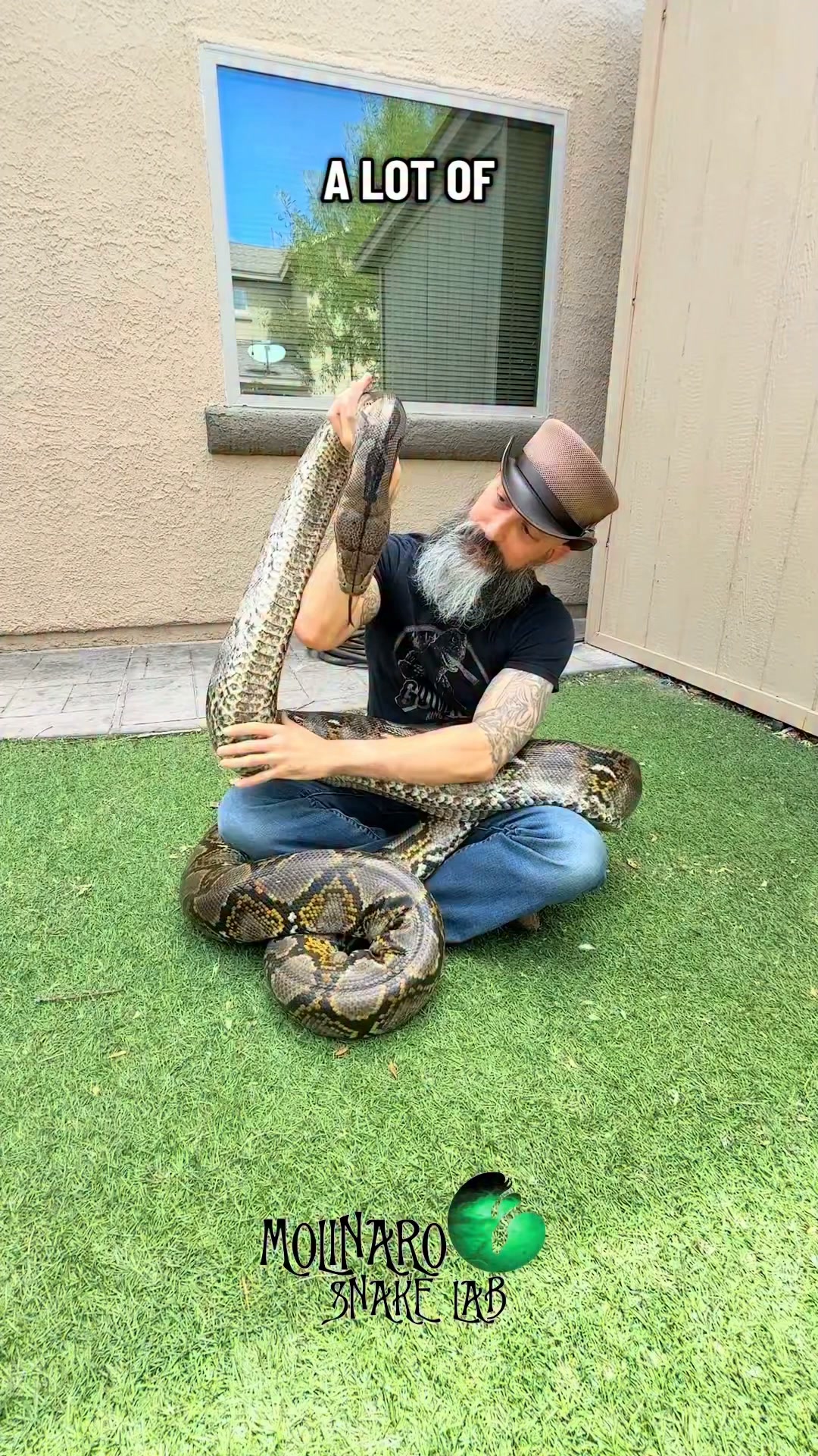 I’ve been asked many times if snake have bones! It’s