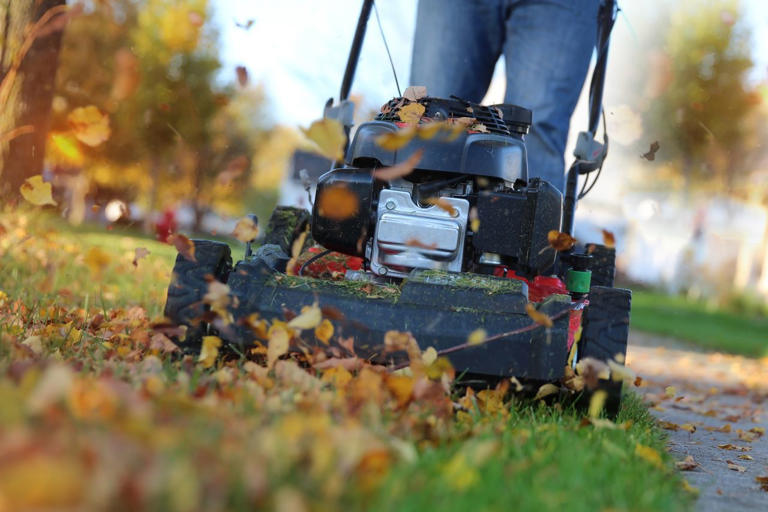 Is fertilizing your lawn in the fall a waste of money? We asked a lawn pro