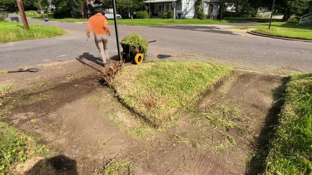 How an intense yard rescue overcame unplanned setbacks and an ...