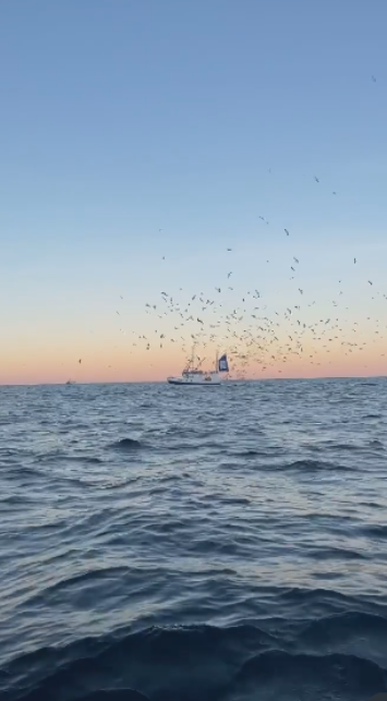The beauty of ocean blue: Photography, aesthetics, and color inspiration