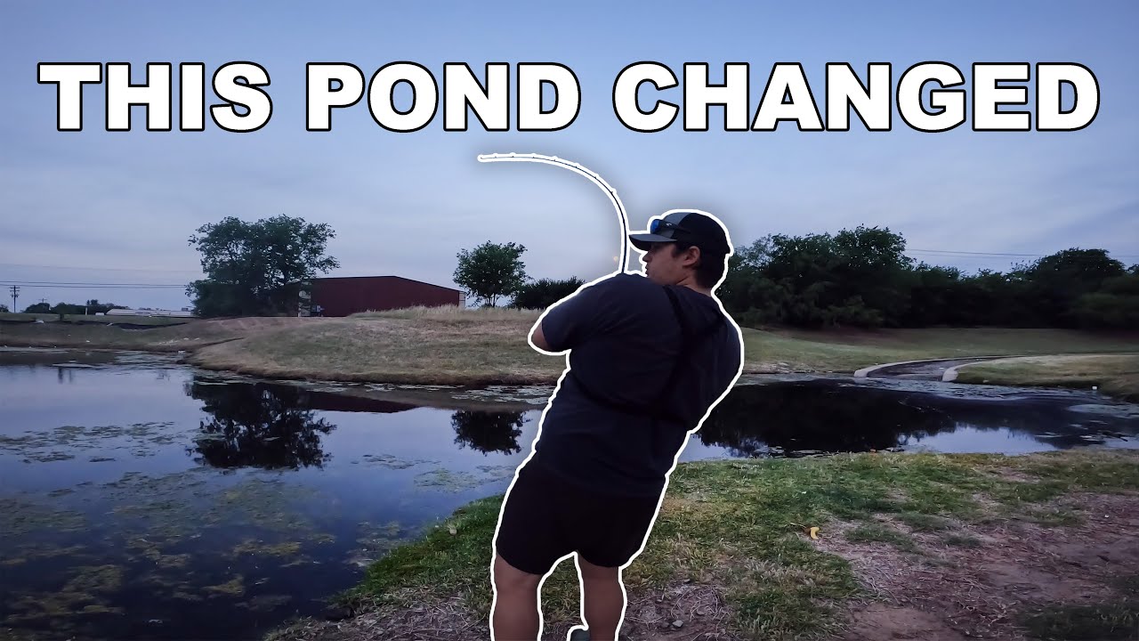 Texas bass fishing is changing and these summer pond transitions ...