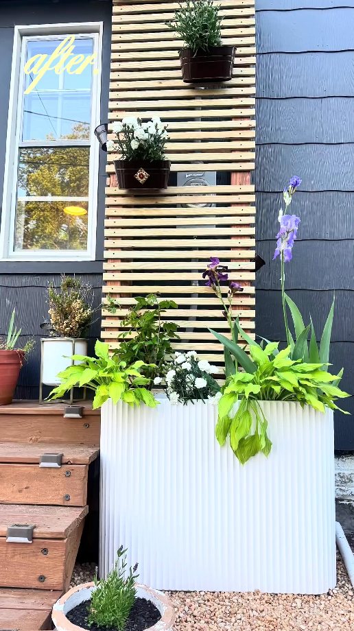 Give your front yard a fresh look with these meter box ideas