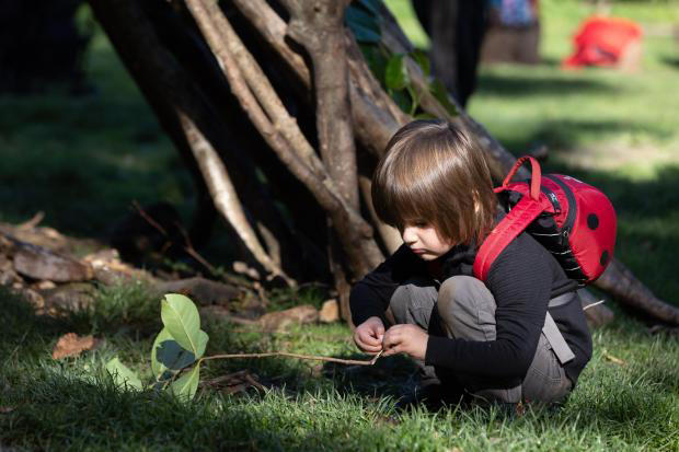 What's on at National Trust sites across Dorset this October half-term