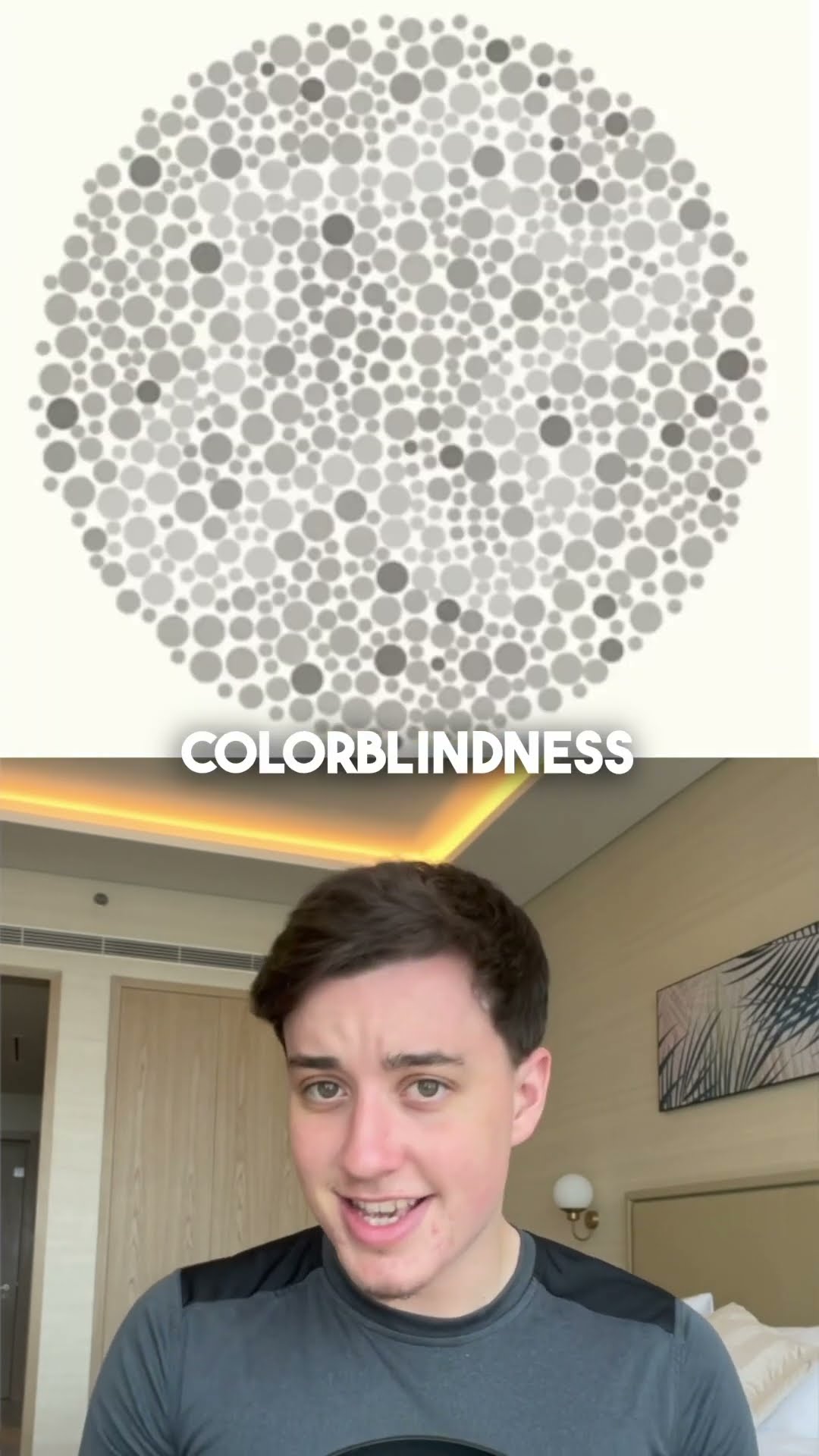 Are you colorblind? Test your vision!