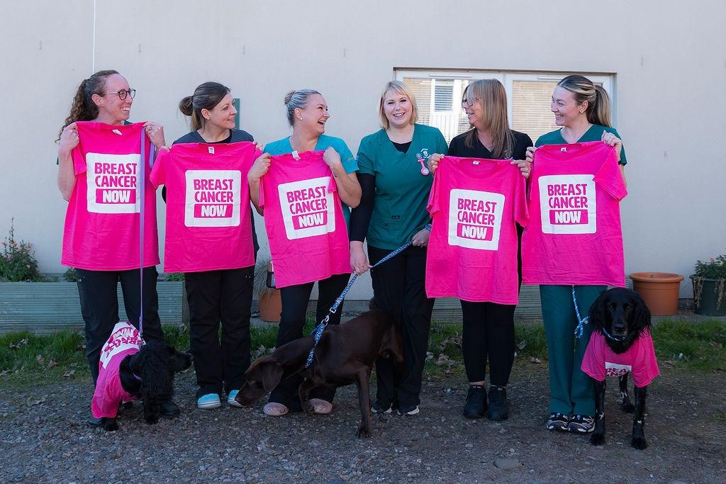 Team from vets' practice undertake challenge to support breast cancer ...