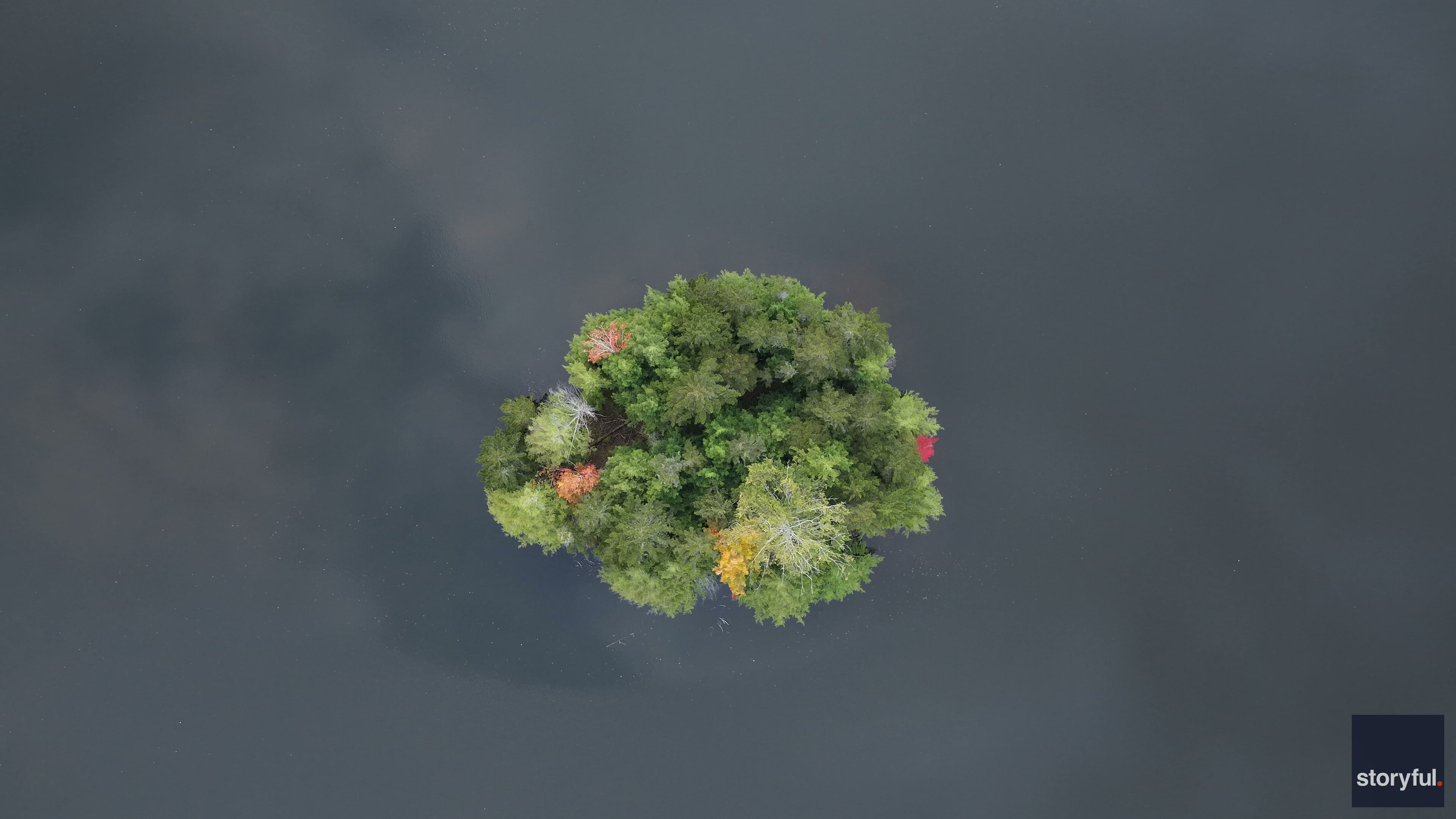 Stunning drone timelapse shows cloudy fall foliage reflections