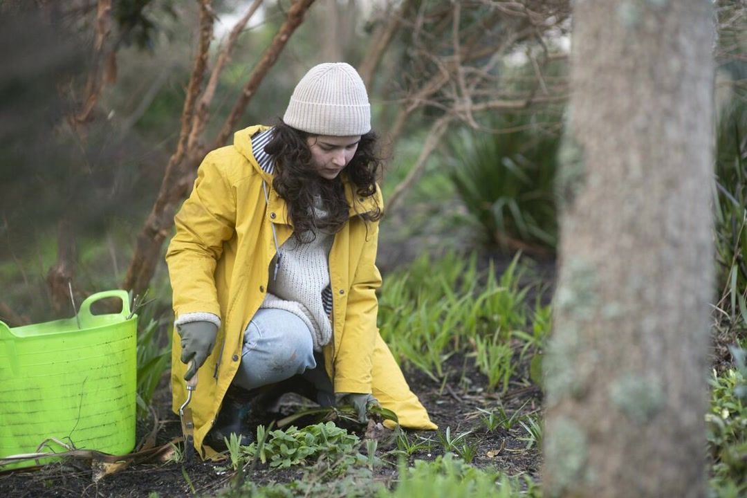 Expert urges you to do five important gardening jobs this October