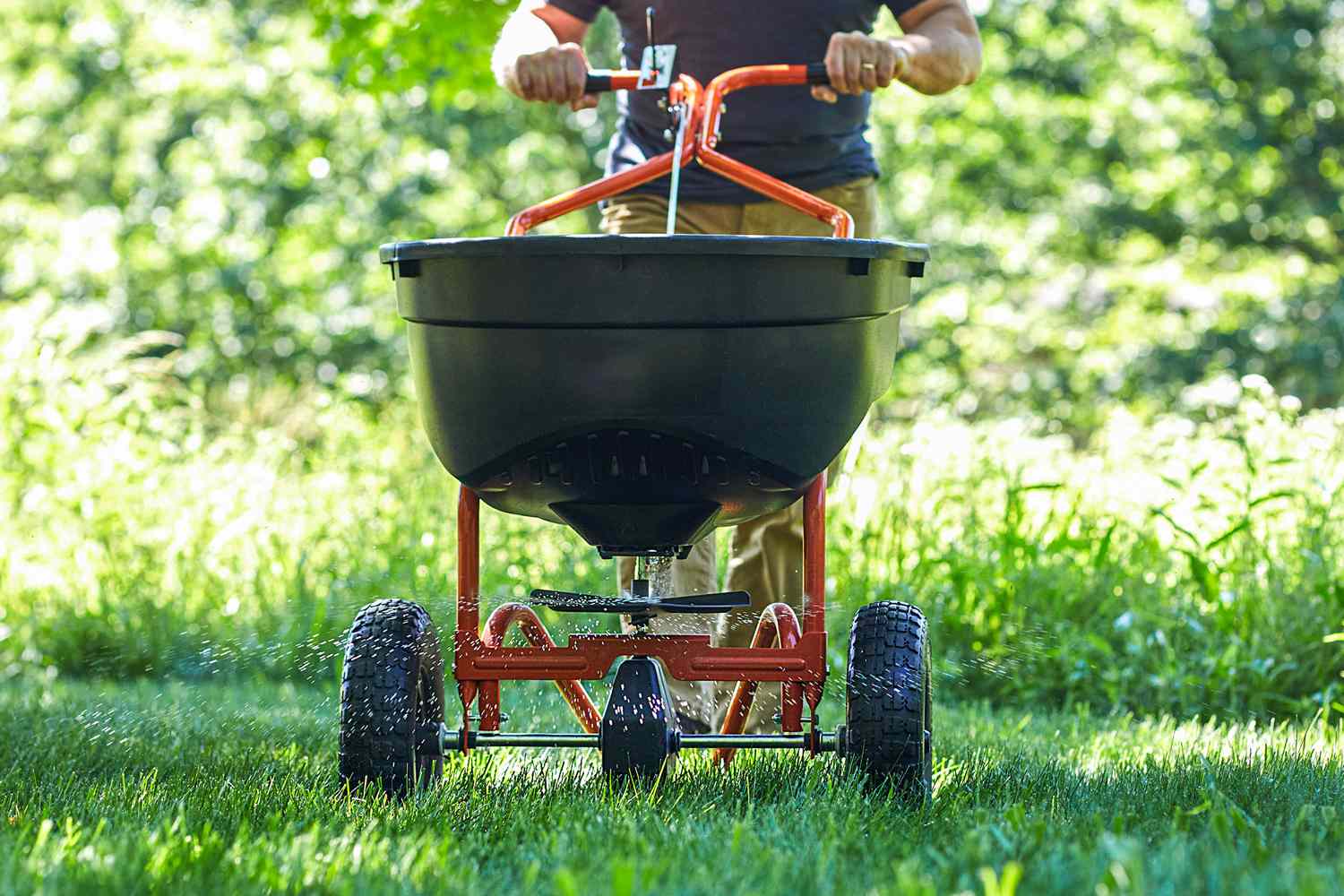 Is fertilizing your lawn in the fall a waste of money? We asked a lawn pro