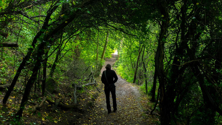 Skip basic string lights: brighten walkways and garden paths with DIY ...