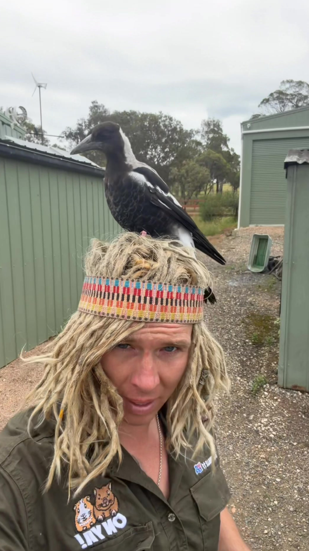 Young magpies show their curious personalities