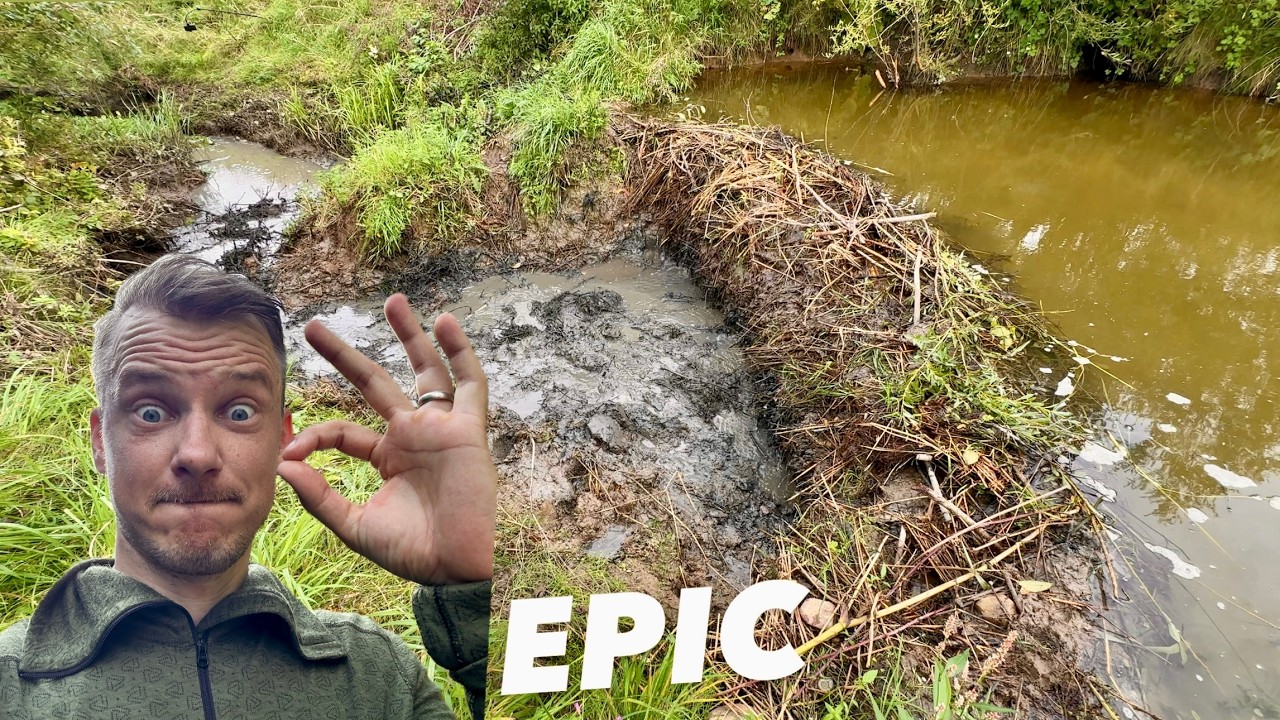 TOP 1 Beaver Dam Removal