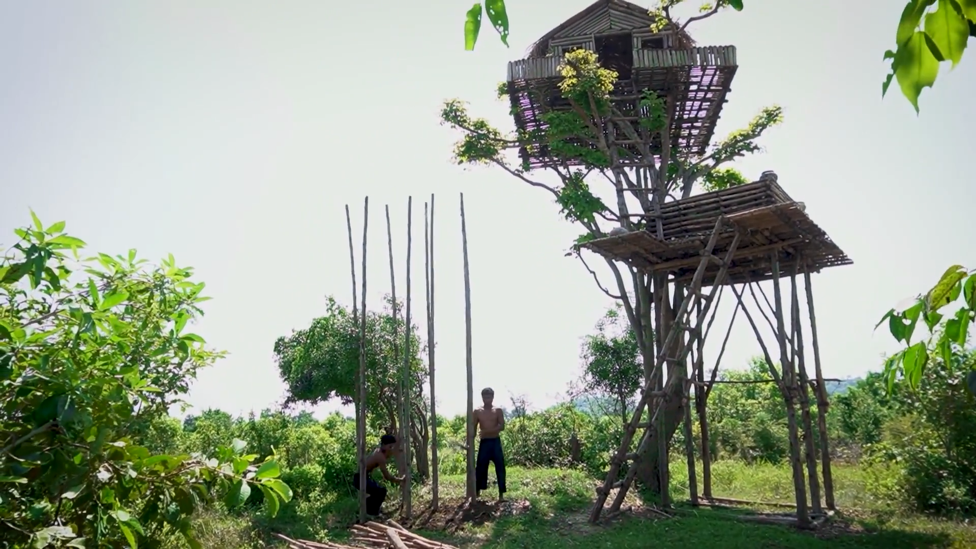 Watch these men build a 12m high tree house with a pool and grape wine ...